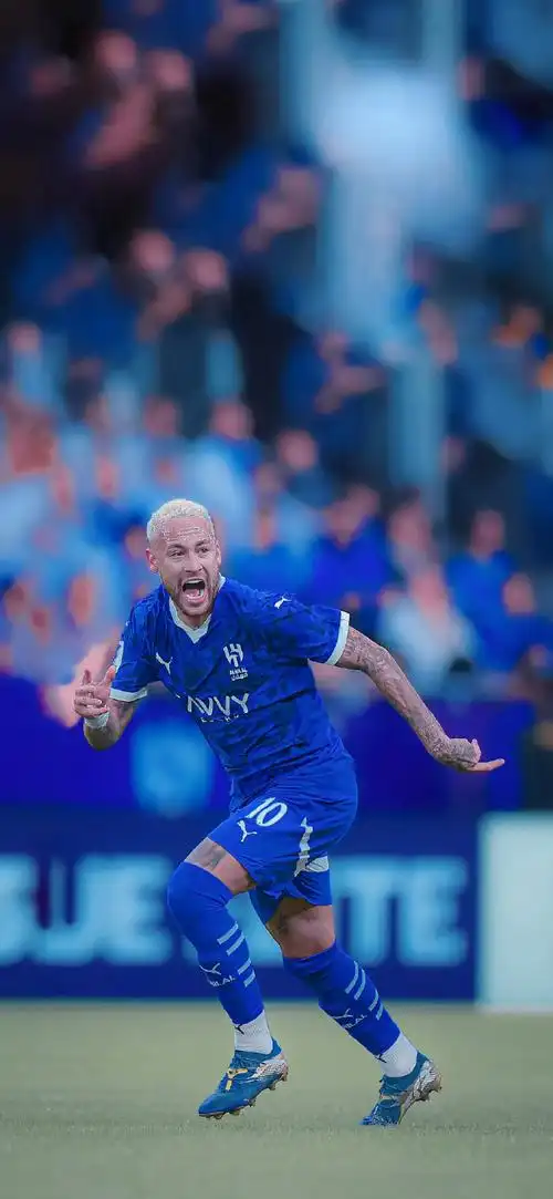 在高水平比 在高水平比