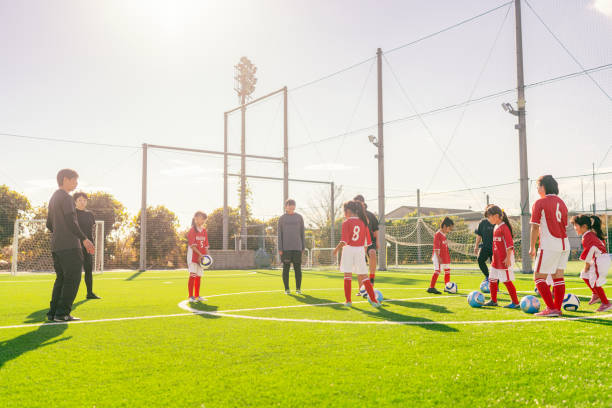 争夺谢什科 争夺谢什科